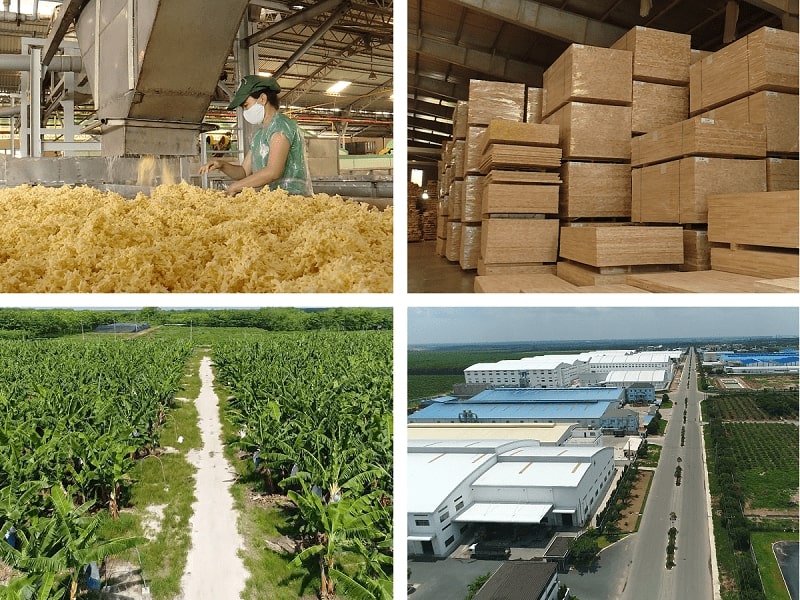 CÔNG TY CỔ PHẦN CAO SU XUÂN LỘC