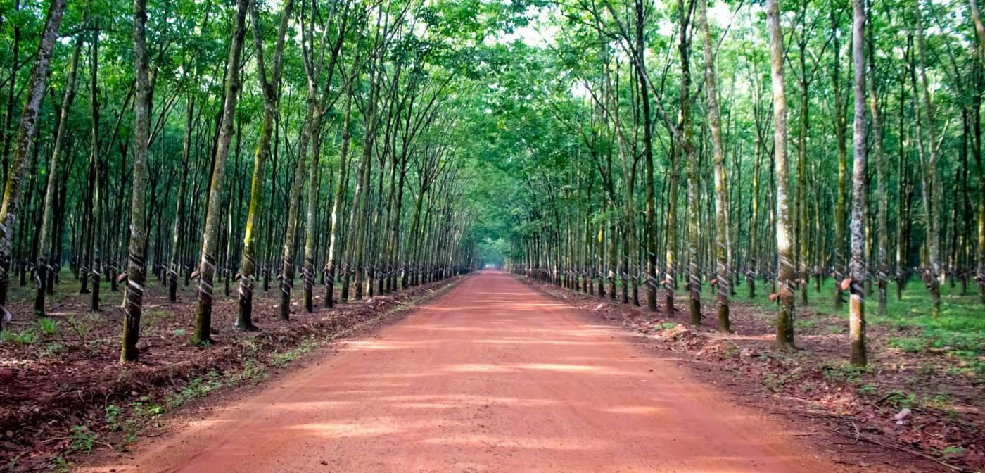 CÔNG TY CỔ PHẦN CAO SU XUÂN LỘC