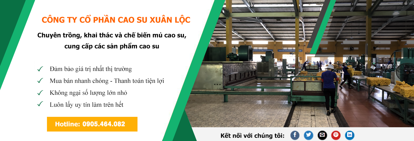 CÔNG TY CỔ PHẦN CAO SU XUÂN LỘC