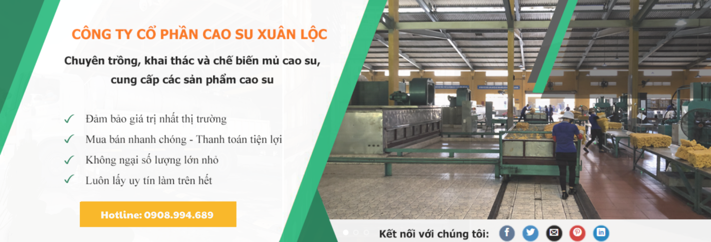 CÔNG TY CỔ PHẦN CAO SU XUÂN LỘC