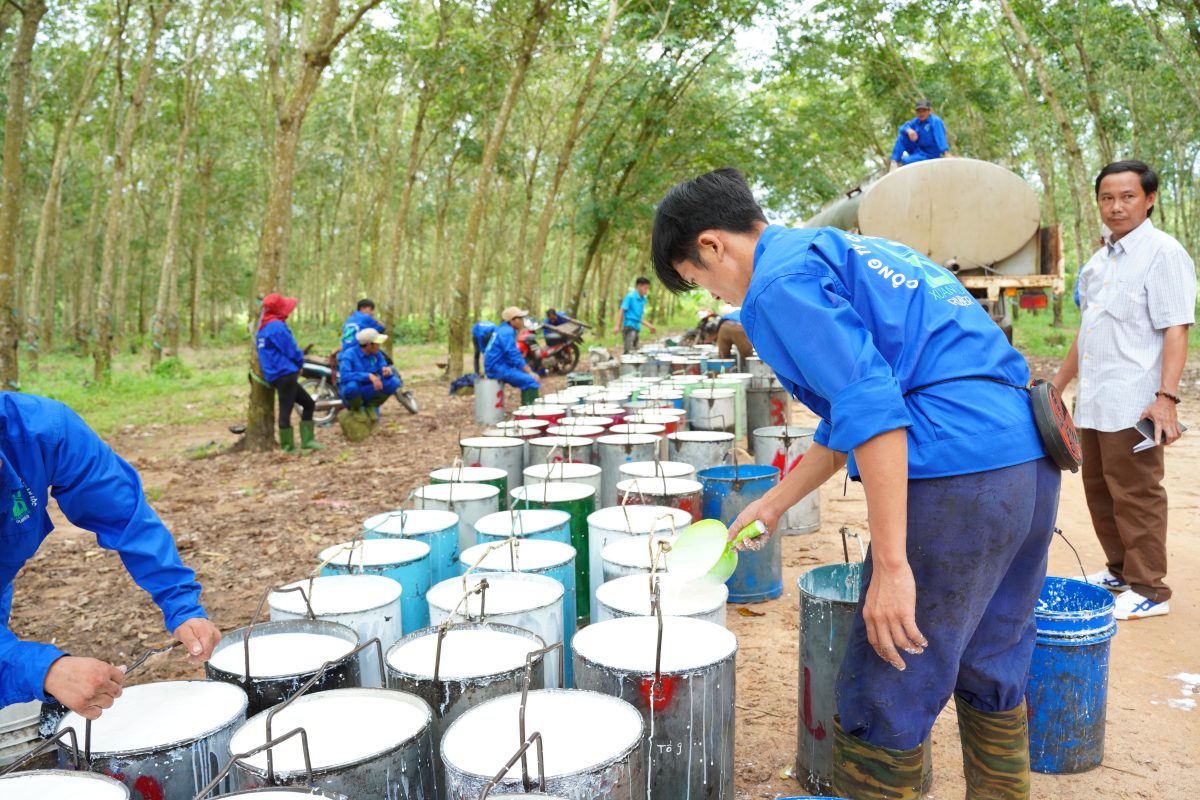 CÔNG TY CỔ PHẦN CAO SU XUÂN LỘC