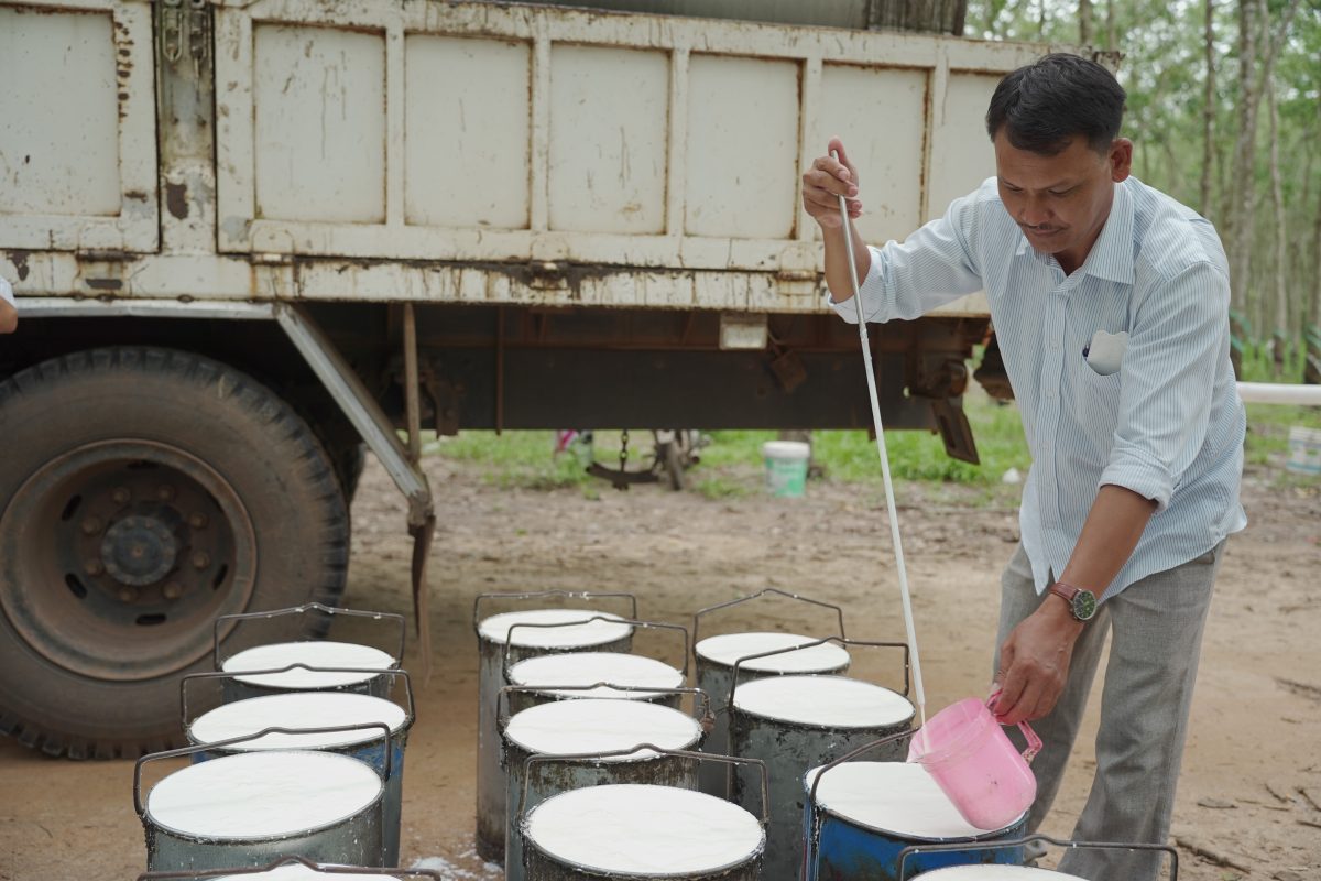 CÔNG TY CỔ PHẦN CAO SU XUÂN LỘC