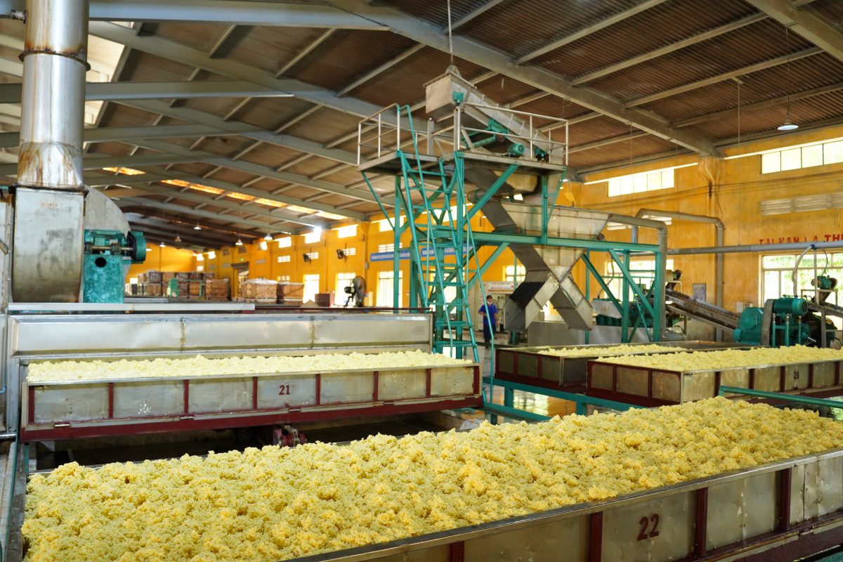 CÔNG TY CỔ PHẦN CAO SU XUÂN LỘC